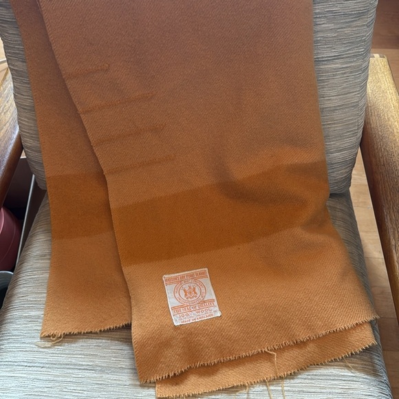 Hudson's Bay Company 60" x 86" Twin 3.5 Point Blanket cutter hole/staining - Picture 1 of 13